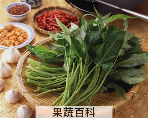 空心菜食用禁忌