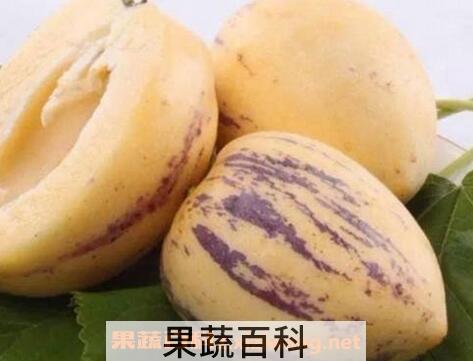 奇异果和人参果的区别