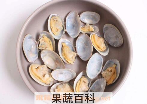 蛤蜊怎么洗 如何洗蛤蜊才能洗干净