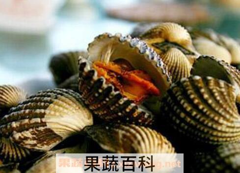 泥蚶的功效与作用