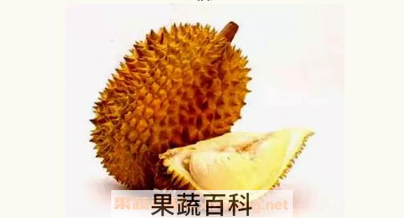 榴莲