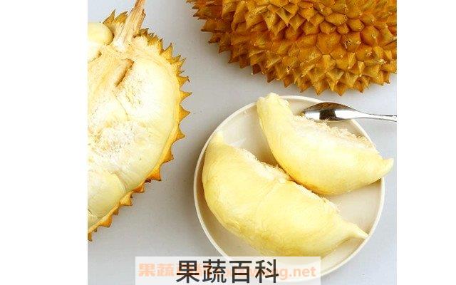 榴莲