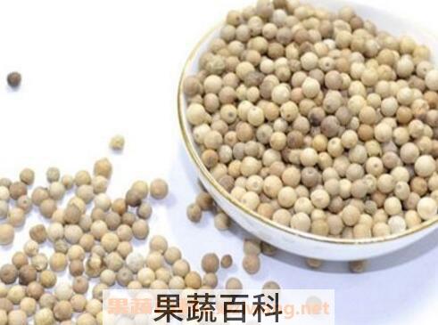 白胡椒的功效与作用