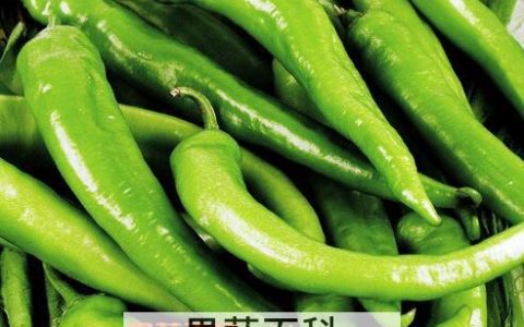 尖椒和青椒的区别是什么 尖椒和青椒的区别图片