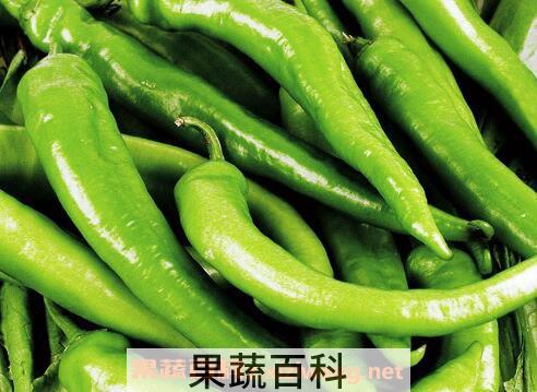 尖椒和青椒的区别