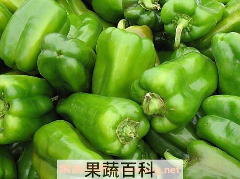 尖椒和青椒的区别