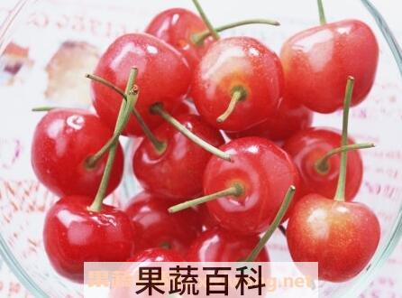 樱桃没熟怎么催熟