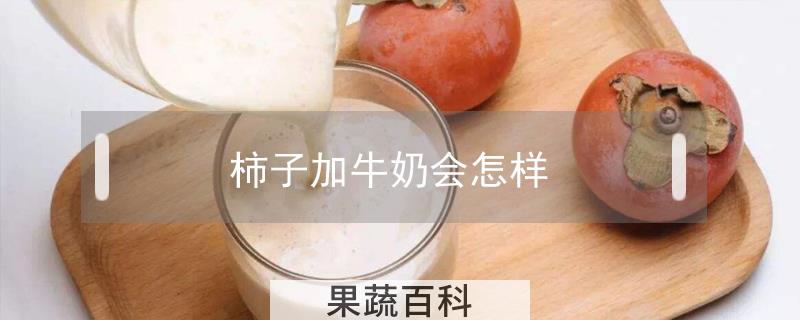 柿子加牛奶会怎样