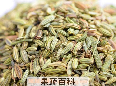 大茴香和小茴香的区别 大茴香的功效