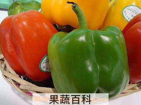 灯笼椒的功效与作用