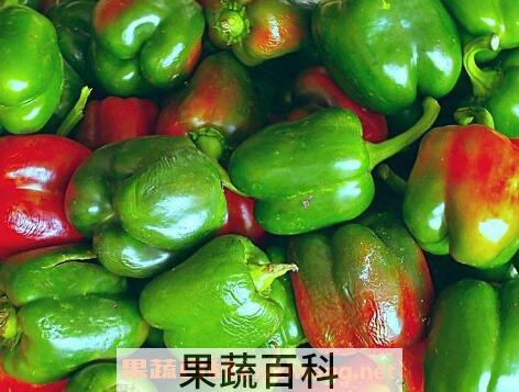 灯笼椒的功效与作用