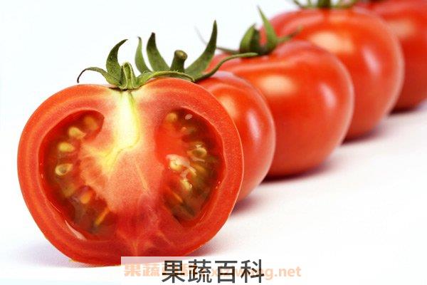 吃西红柿的季节
