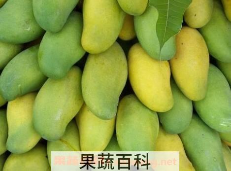 芒果怎么样催熟而不烂
