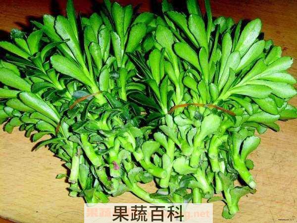 救心菜的功效与作用 什么人不能吃救心菜