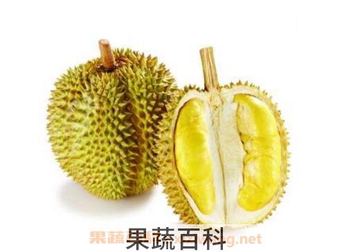 榴莲怎么催熟开口
