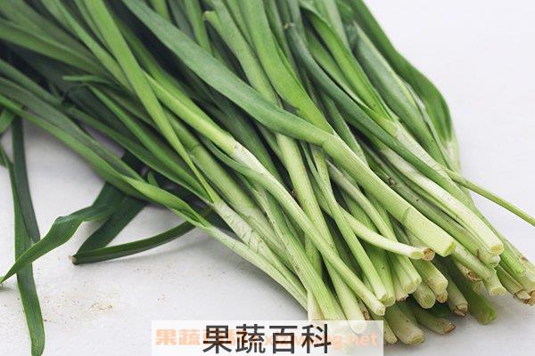 韭菜的功效与作用