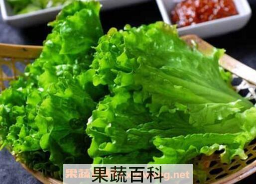 生菜的功效与作用