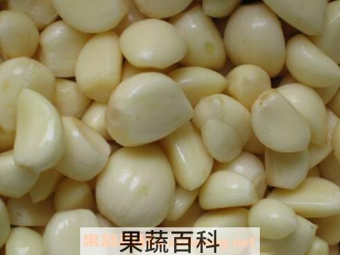 什么人不能吃大蒜 吃大蒜的禁忌
