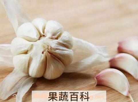 什么人不能吃大蒜 吃大蒜的禁忌