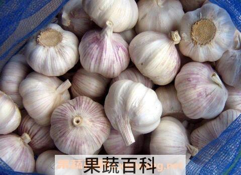 吃大蒜有什么坏处 经常吃大蒜的坏处