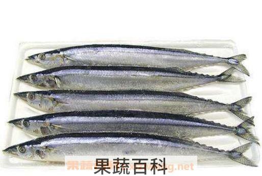 刀鱼的营养价值及功效