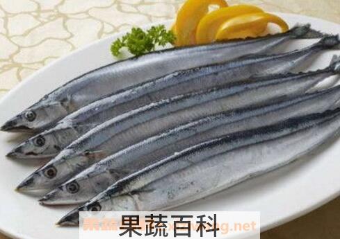 刀鱼的营养价值及功效