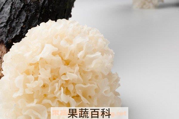 银耳的功效与作用