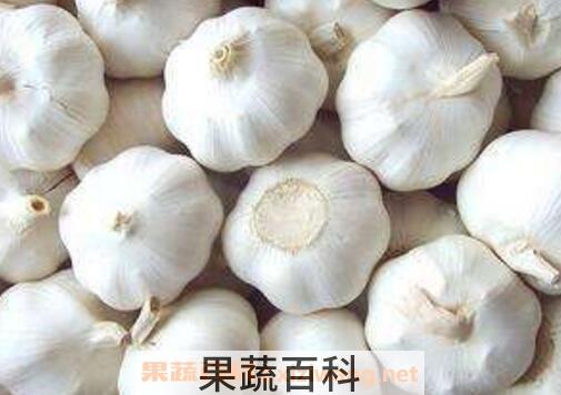 吃大蒜的好处和坏处 吃大蒜的禁忌