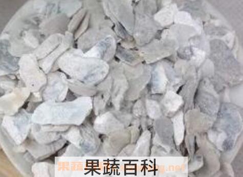 煅牡蛎的功效与作用及禁忌