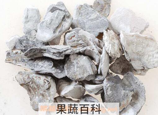 煅牡蛎的功效与作用及禁忌