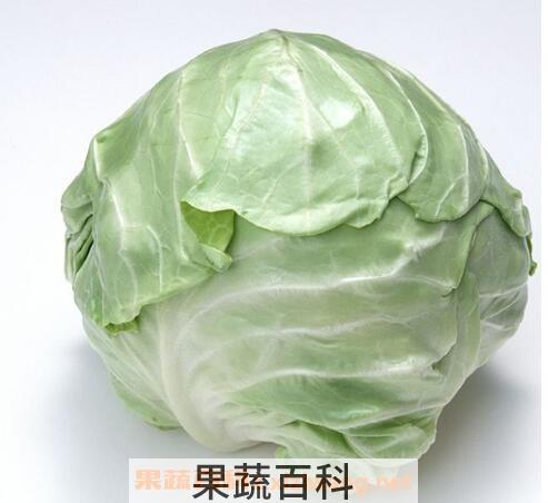 甘蓝的功效与作用