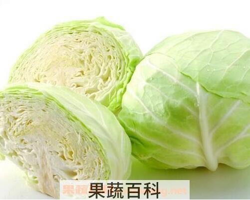 甘蓝的功效与作用