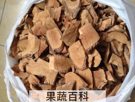 猘猴桃根的功效与作用