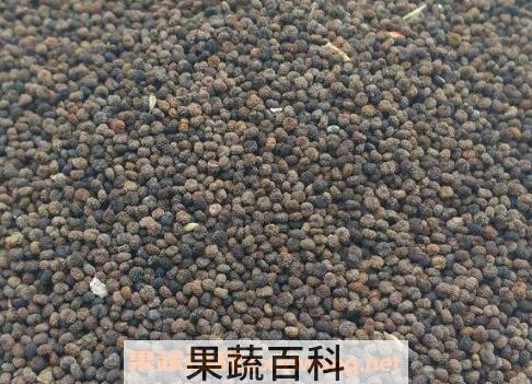 白花菜子的功效与作用及药用价值