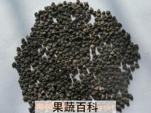 白花菜子的功效与作用及药用价值