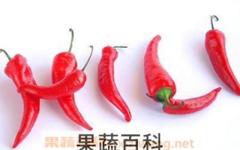 指天椒的功效与作用 指天椒有哪些营养价值