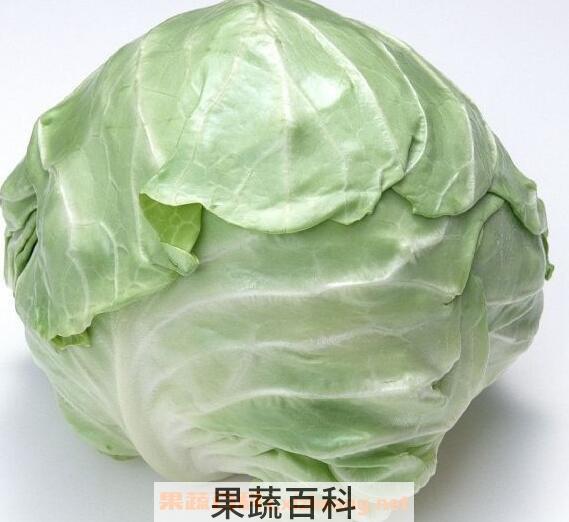 怎样区分甘蓝和包菜 甘蓝和包菜的区别
