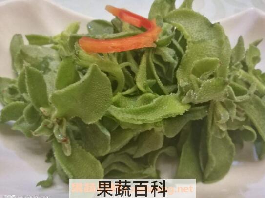 冰菜图片 冰菜的功效与作用