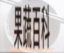果蔬百科