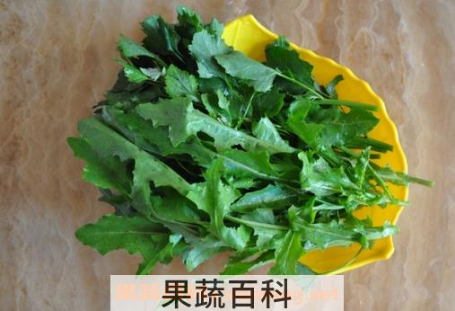 苦苣菜怎么吃 苦苣菜如何凉拌