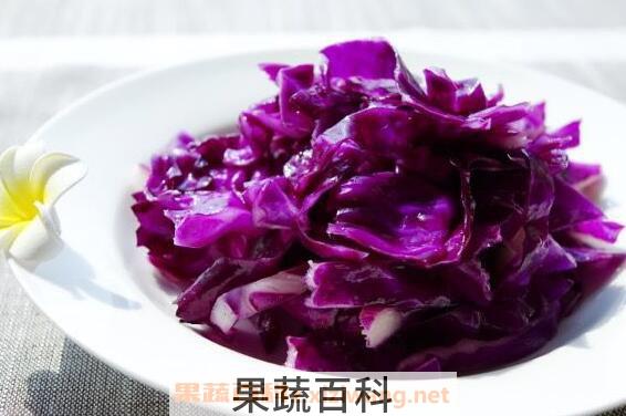 紫甘蓝怎么做好吃 紫甘蓝的家常做法