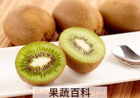 奇异果和猕猴桃的功效与作用及禁忌