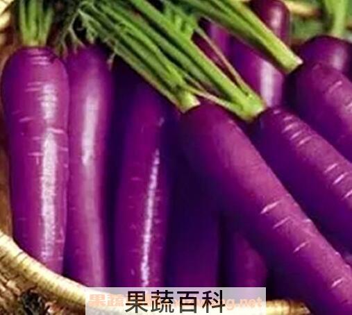 紫色的菜有哪些 紫色的蔬菜图片和功效
