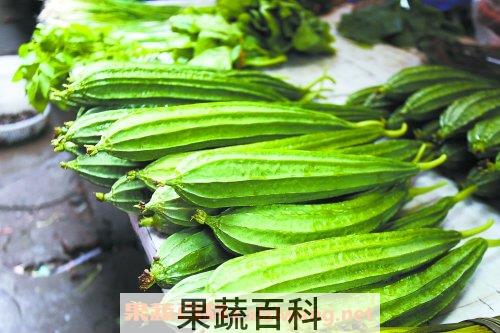 八棱瓜功效和作用