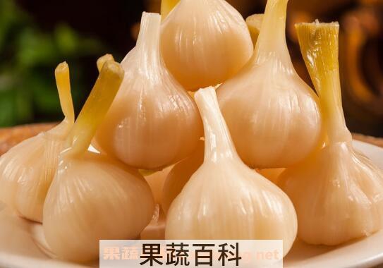 蒜头怎么腌制好吃