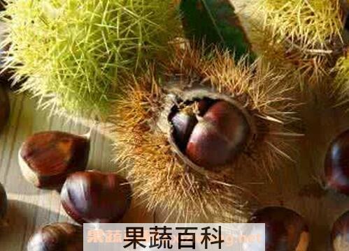 炖板栗壳的作用和功效