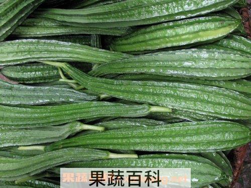 八棱瓜