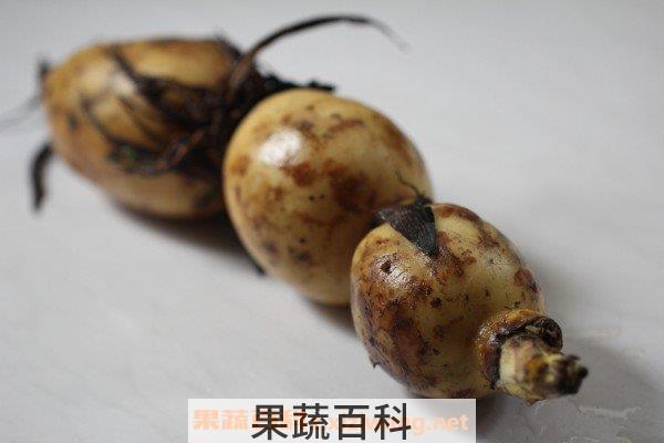吃藕的好处和坏处