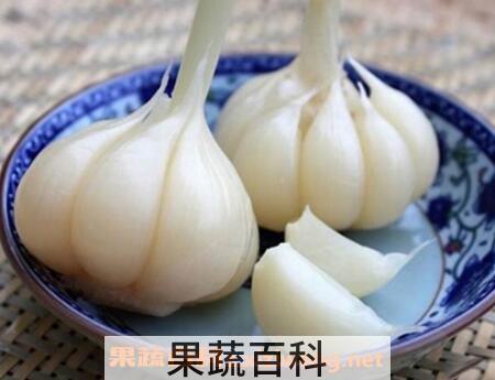 醋蒜的腌制方法最简单