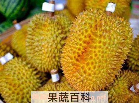 榴莲不能和什么一起吃 